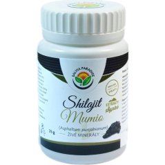 Salvia Paradise Shilajit Mumio 25 g