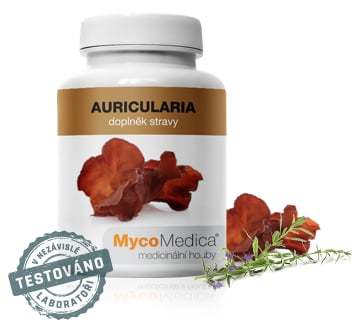 Auricularia (jidášovo ucho) v optimální koncentraci | MycoMedica 90 kapslí