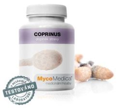 Coprinus v optimální koncentraci | MycoMedica