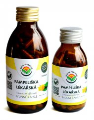 Salvia Paradise Pampeliška lékařská 120 kapslí