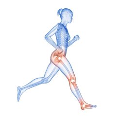 Mycomedica MycoFlex 90 kapslí
