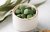 Green food