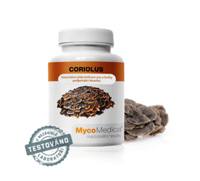 Coriolus (outkovka pestrá, Yunzhi) MycoMedica 90 kapslí