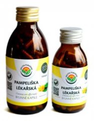 Salvia Paradise Pampeliška lékařská 120 kapslí