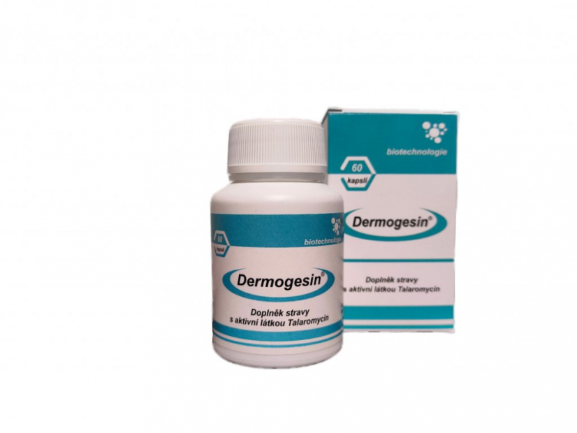 Dermogesin® - 60 kapslí na exémy, lupénku, bradavice, herpetické viry - expirace  10.09.2026