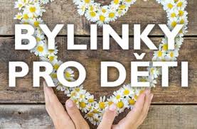 Bylinky pro děti v době podzimních a zimních měsíců