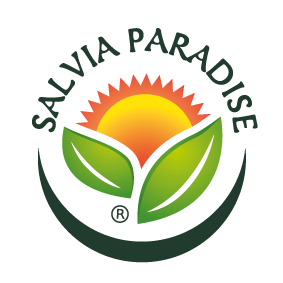 Salvia Paradise - Objem - 25 ml