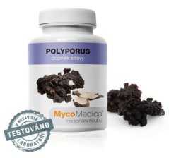 Polyporus v optimální koncentraci | MycoMedica 90 cps.
