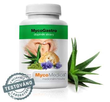 MycoGastro  MycoMedica 90 g prášku