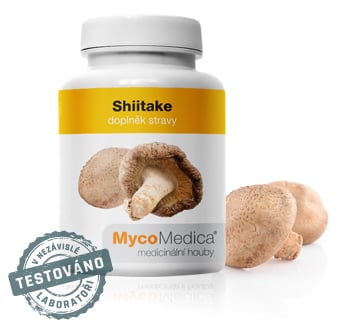Shiitake v optimální koncentraci | MycoMedica