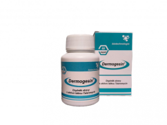 Dermogesin® - 120 kapslí na exémy, lupénku, bradavice, herpetické viry